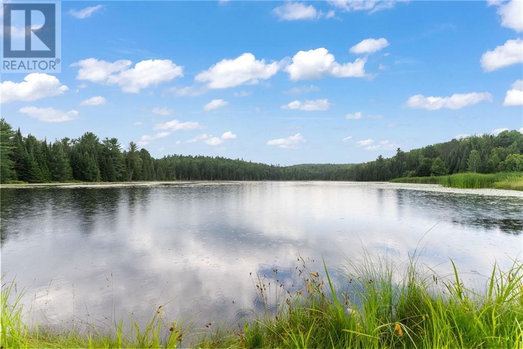 108 Bellas Lane, Palmer Rapids, Ontario  K0J 2E0 - Photo 11 - 1403339