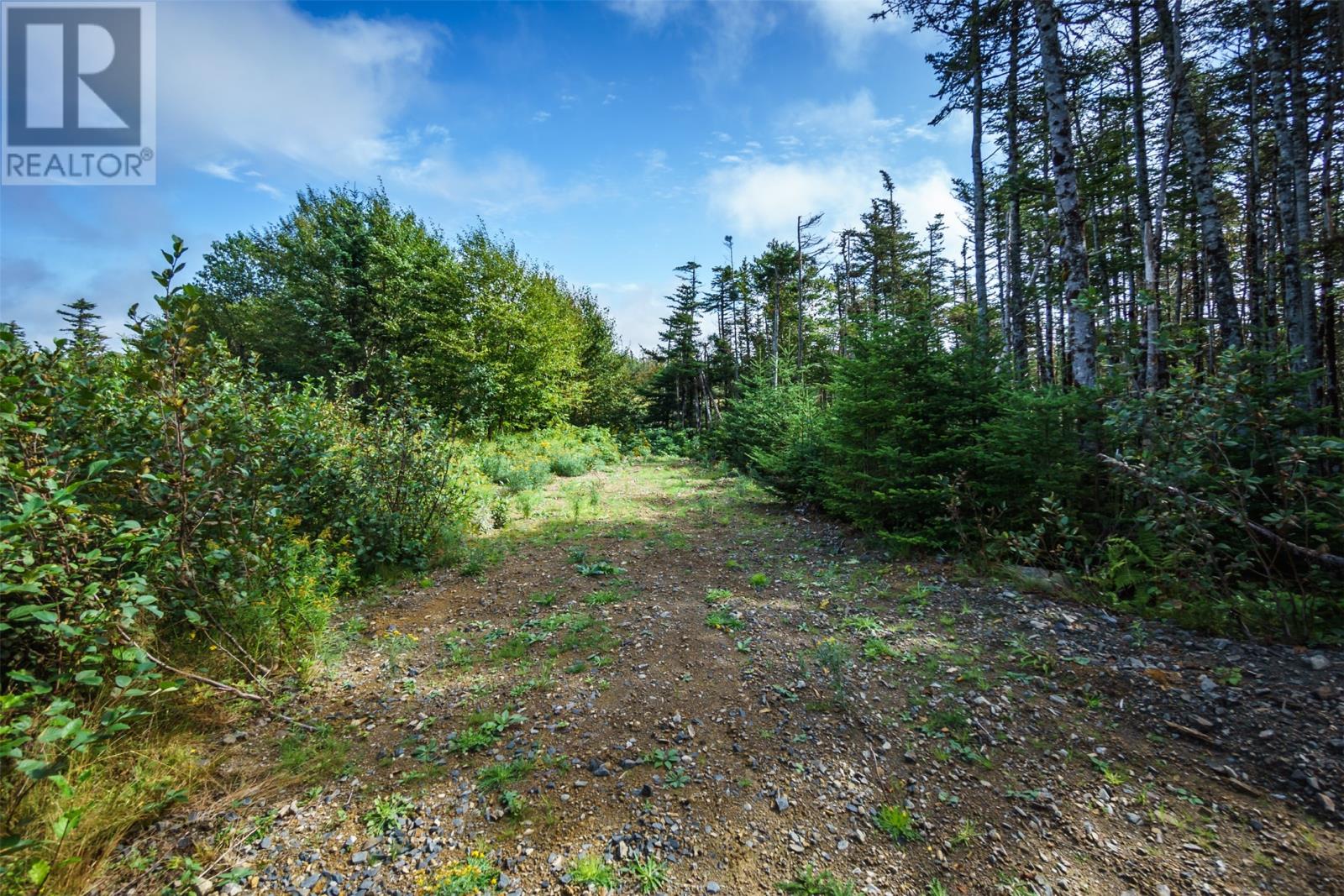 10 Markland Road, Markland, Newfoundland & Labrador  A0B 3K0 - Photo 50 - 1275389