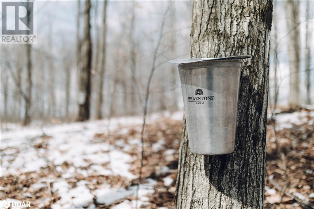 Lorem Ipsum Dolor Sit, Oro-Medonte, Ontario  L0K  - Photo 21 - DEMO27219659