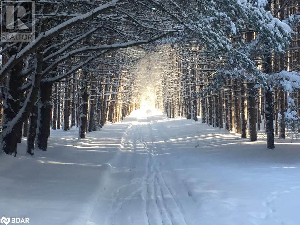 Lorem Ipsum Dolor Sit, Oro-Medonte, Ontario  L0K  - Photo 18 - DEMO27219659