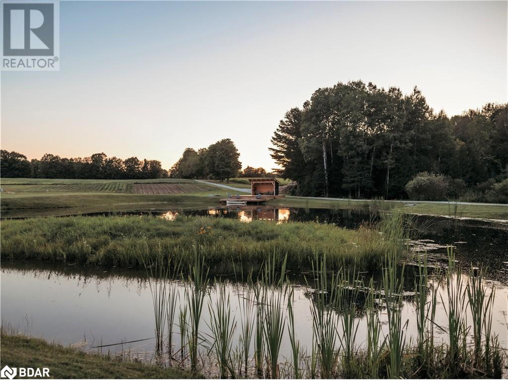 Lorem Ipsum Dolor Sit, Oro-Medonte, Ontario  L0K  - Photo 15 - DEMO27219659