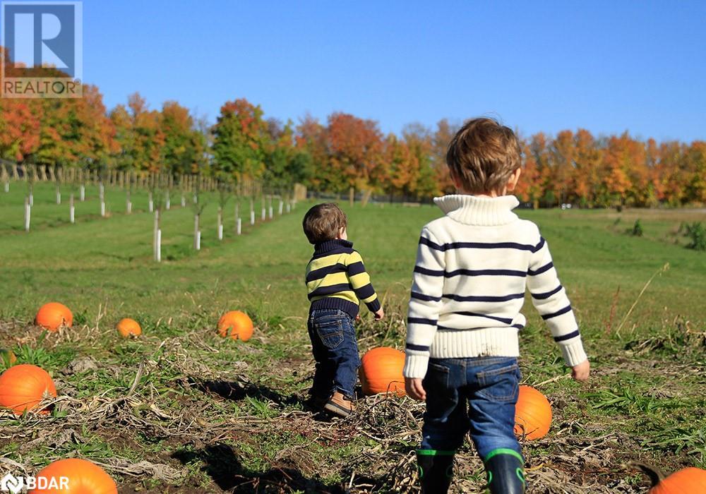 Lorem Ipsum Dolor Sit, Oro-Medonte, Ontario  L0K  - Photo 23 - DEMO27219659