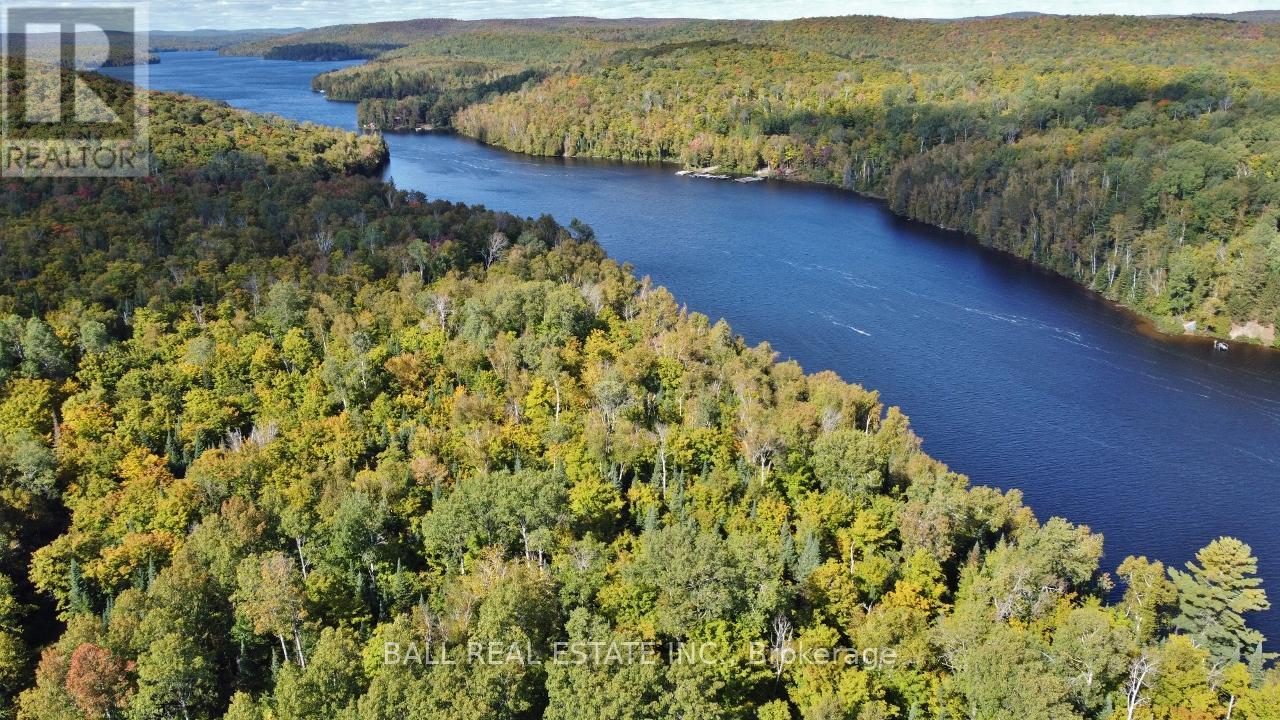 4570 Hay Lake, South Algonquin, Ontario  K0J 2M0 - Photo 8 - X9083751