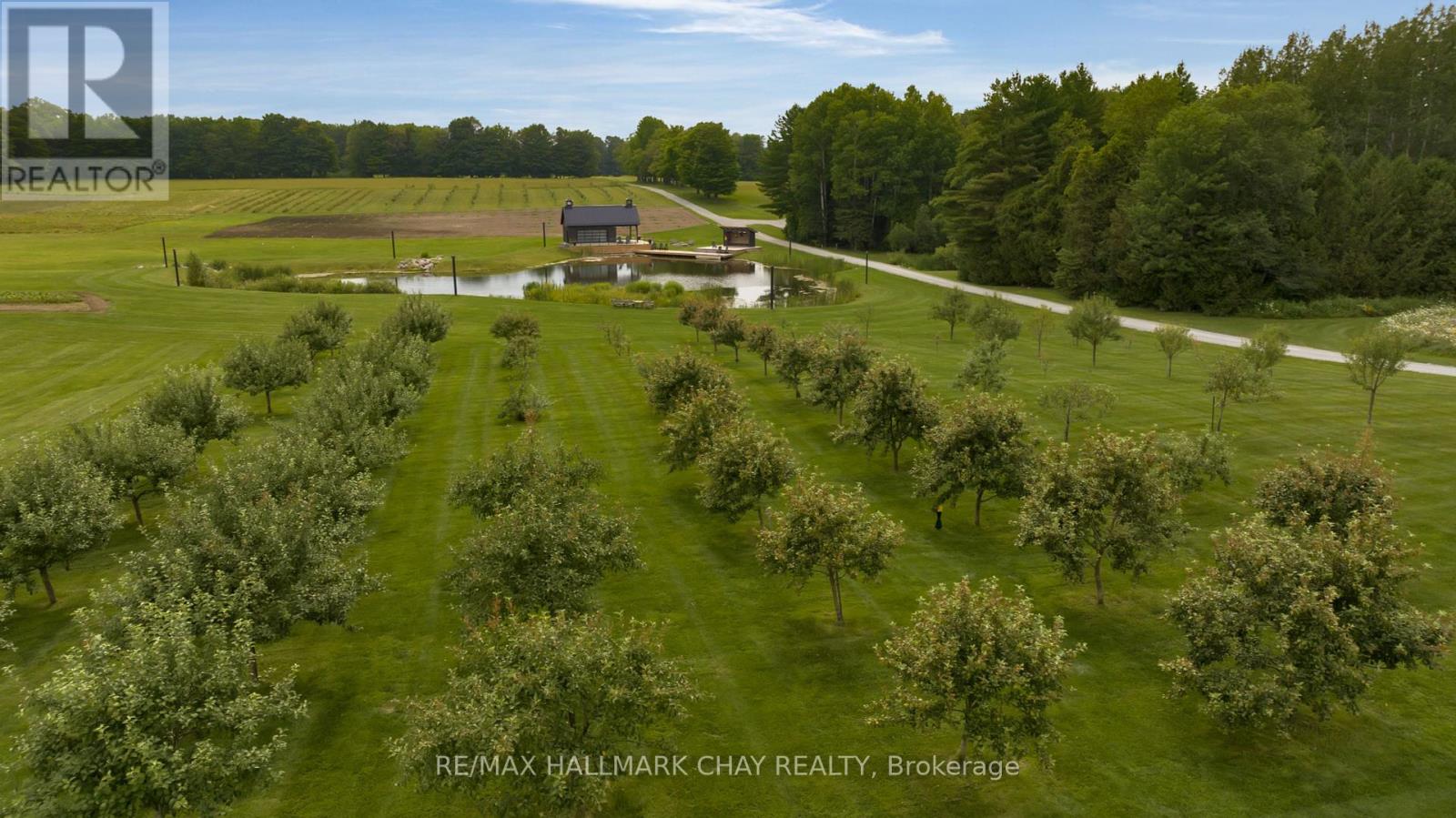 Lt 222 Friesian Court, Oro-Medonte, Ontario  L0K 1E0 - Photo 11 - S9089434