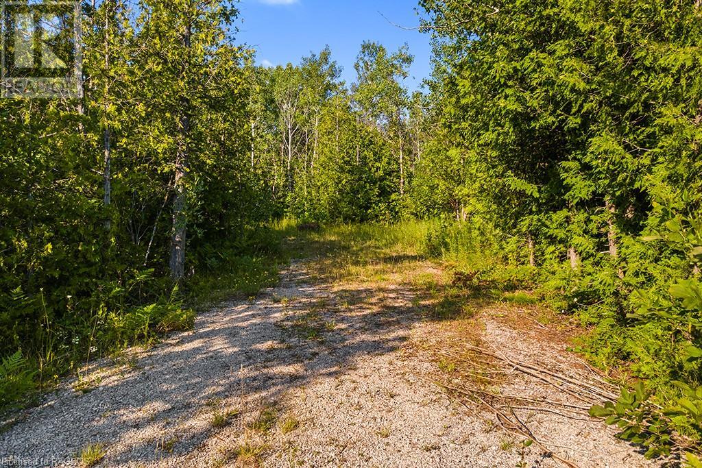 Pt 10 Highway 6, Miller Lake, Ontario  N0H 1Z0 - Photo 16 - 40625909