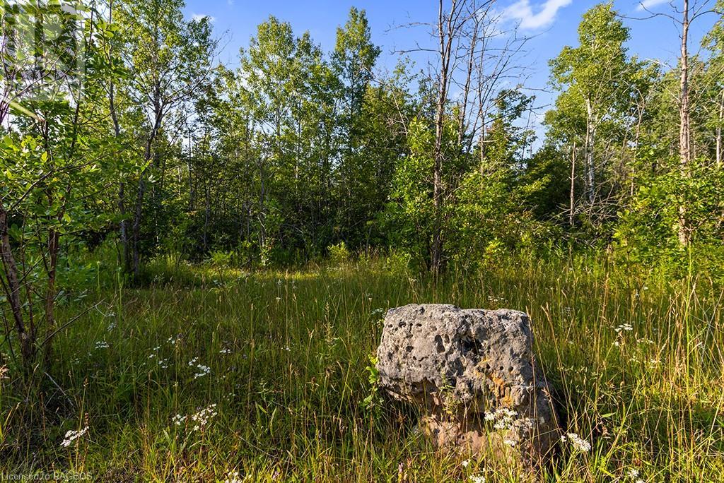 Pt 10 Highway 6, Miller Lake, Ontario  N0H 1Z0 - Photo 28 - 40625909