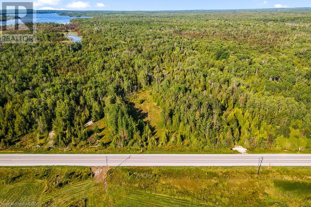 Pt 10 Highway 6, Miller Lake, Ontario  N0H 1Z0 - Photo 39 - 40625909