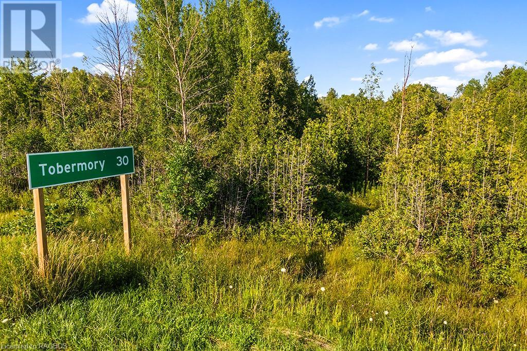Pt 10 Highway 6, Miller Lake, Ontario  N0H 1Z0 - Photo 8 - 40625909