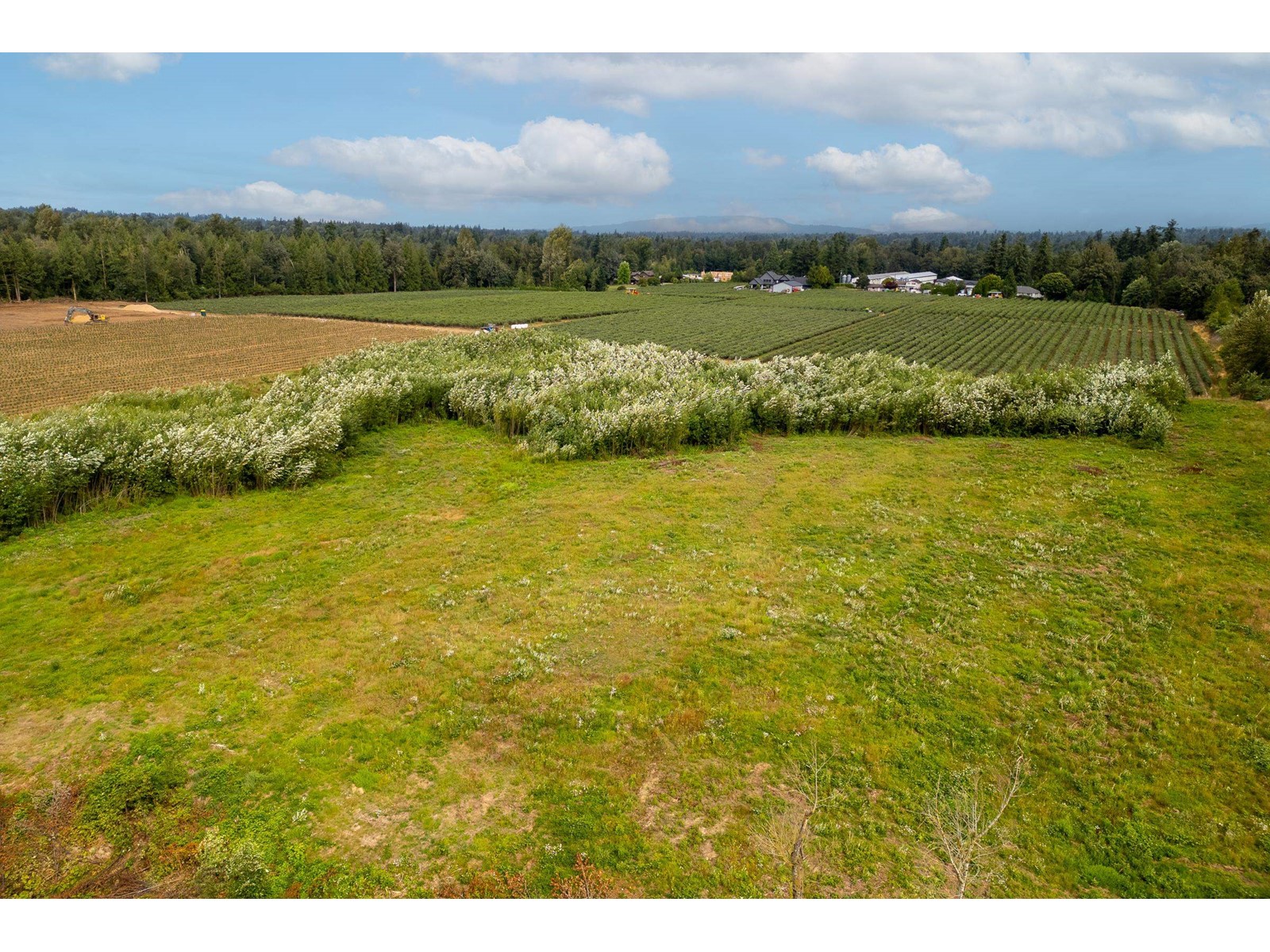 28585 Townshipline Road, Abbotsford, British Columbia  V4X 1P6 - Photo 12 - R2909377