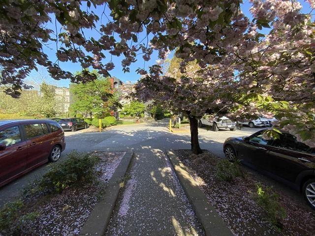 208 5700 200 Street, Langley, British Columbia  V3A 7S6 - Photo 28 - R2909706