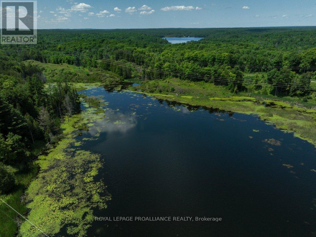 4893 Rd 506, North Frontenac, Ontario  K0H 1K0 - Photo 38 - X9195179