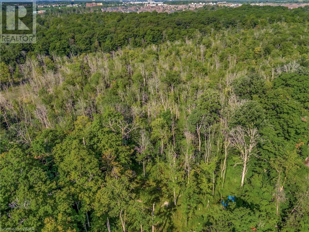 7 Squire Court, Waterloo, Ontario  N2J 4G8 - Photo 15 - 40626234