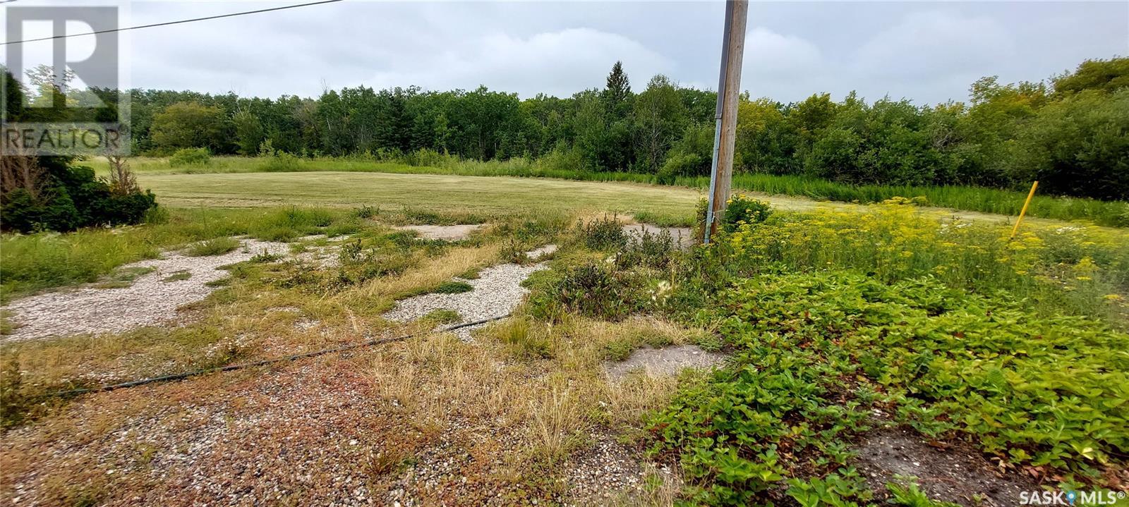 721 3rd Street Ne, Wadena, Saskatchewan  S0A 4J0 - Photo 35 - SK977714