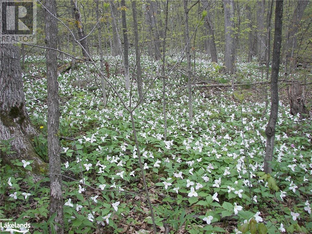 2 Island 880/cow Island, Honey Harbour, Ontario  P0E 1E0 - Photo 39 - 40520250