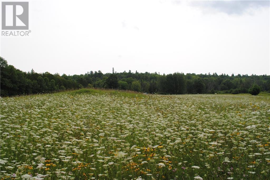 1505 Sheridan Rapids Road, Lanark Highlands, Ontario  K0G 1K0 - Photo 26 - 1400628