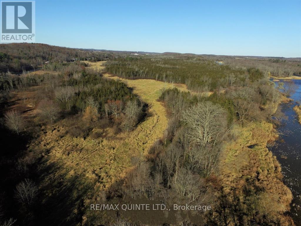 0 Highway 30 S, Trent Hills, Ontario  K0L 1L0 - Photo 3 - X8079058