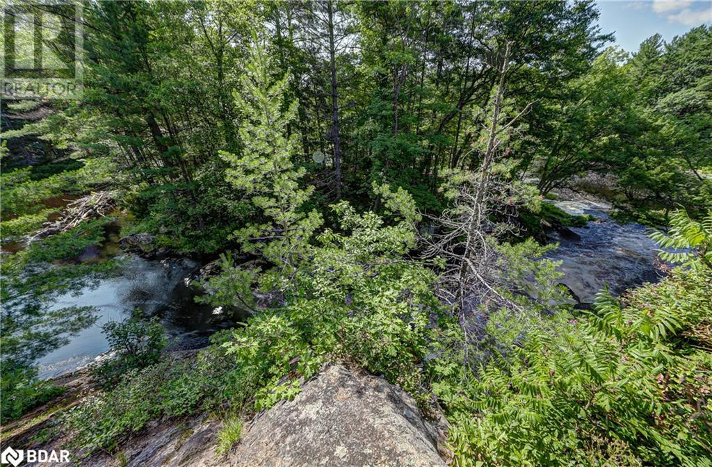 20 Black River Road, Washago, Ontario  L0K 2B0 - Photo 13 - 40610842