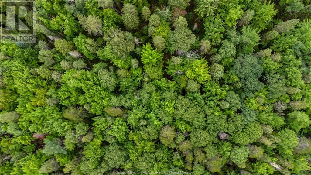 Lot Sanatorium Road, Salisbury, New Brunswick  E1E 2C2 - Photo 5 - M161170