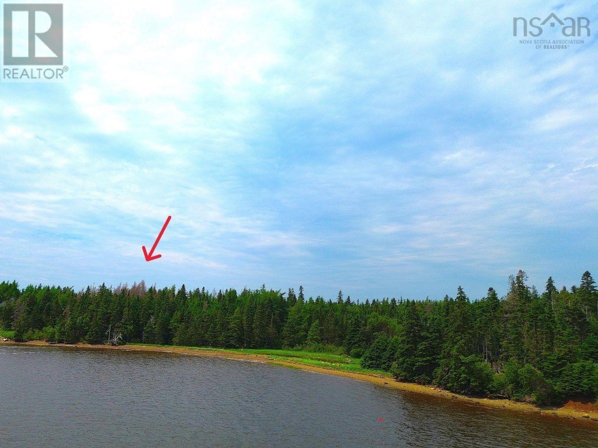 Lot 1 241 Walkerville Road, Walkerville, Nova Scotia  B0E 1J0 - Photo 4 - 202407301
