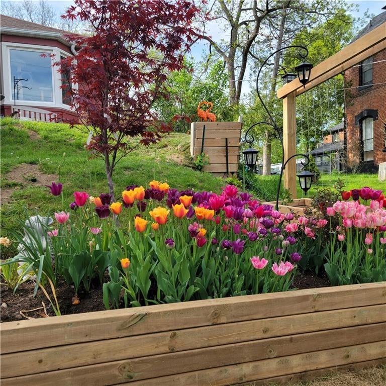 Image of property at 17 Dundas Street