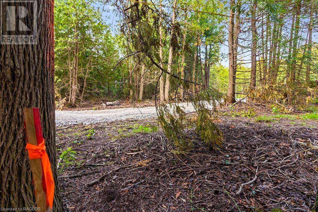 24 Nicholas Street, Tobermory, Ontario  N0H 2R0 - Photo 10 - 40626117