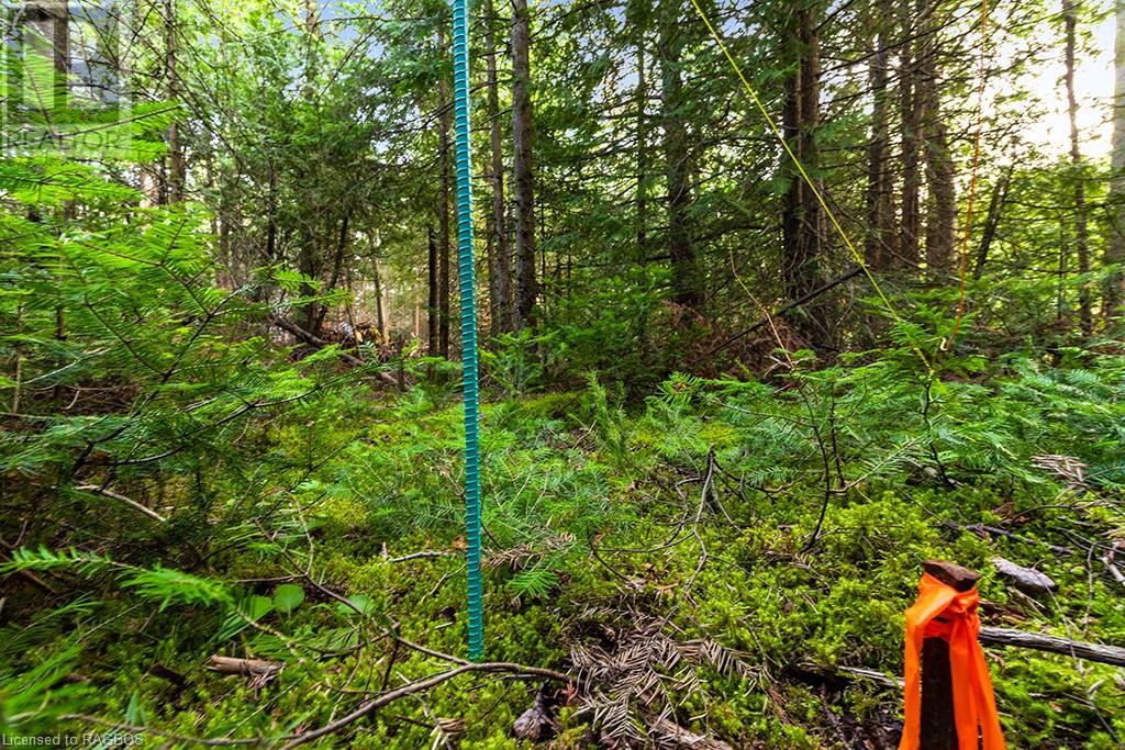 24 Nicholas Street, Tobermory, Ontario  N0H 2R0 - Photo 11 - 40626117