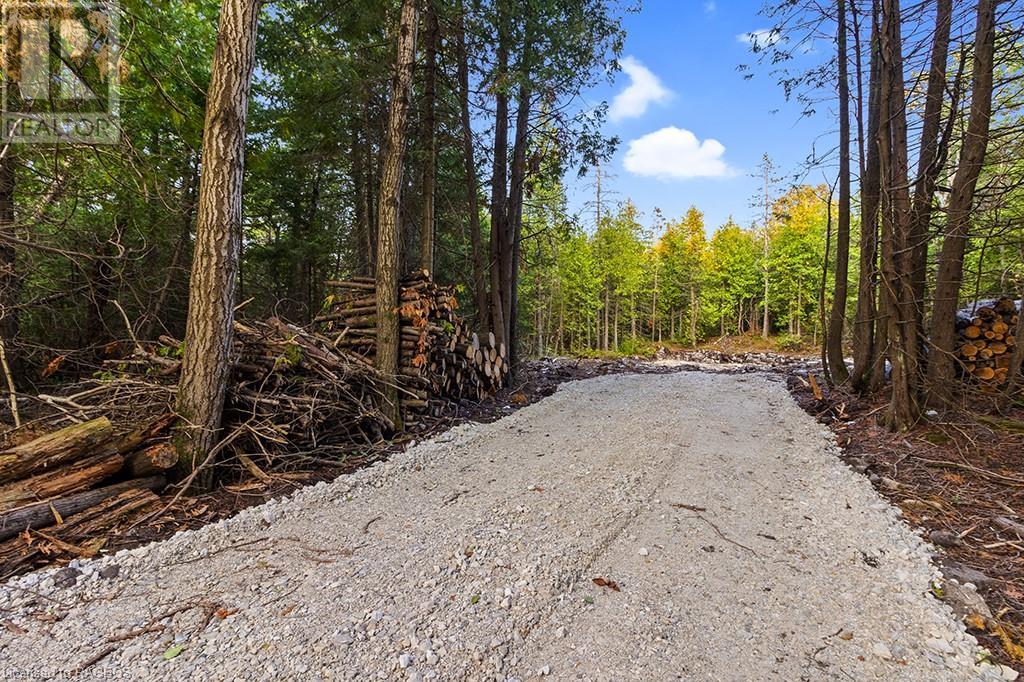 24 Nicholas Street, Tobermory, Ontario  N0H 2R0 - Photo 12 - 40626117