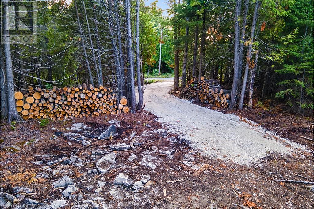 24 Nicholas Street, Tobermory, Ontario  N0H 2R0 - Photo 13 - 40626117