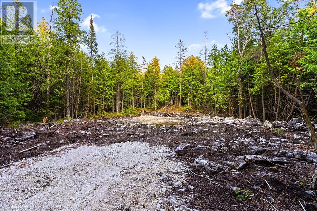 24 Nicholas Street, Tobermory, Ontario  N0H 2R0 - Photo 14 - 40626117