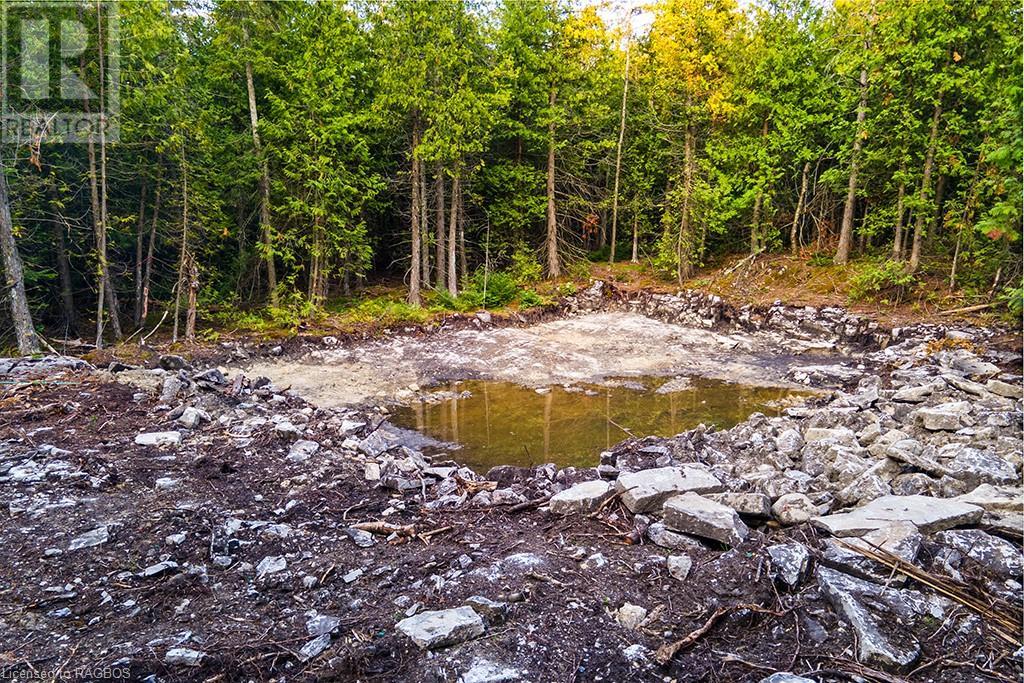 24 Nicholas Street, Tobermory, Ontario  N0H 2R0 - Photo 16 - 40626117