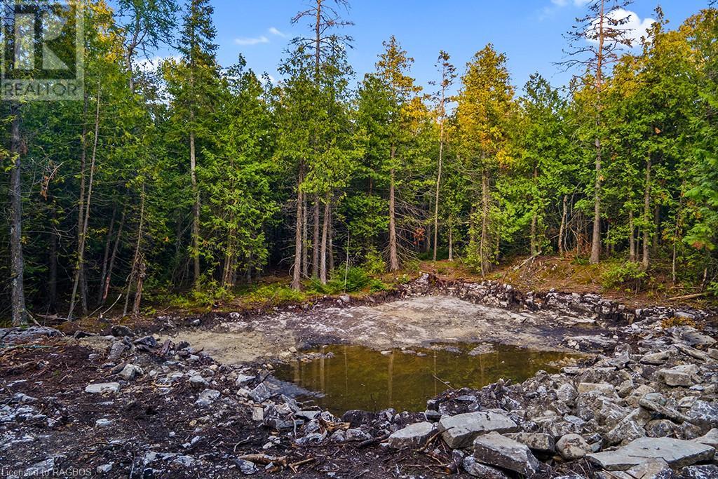 24 Nicholas Street, Tobermory, Ontario  N0H 2R0 - Photo 17 - 40626117