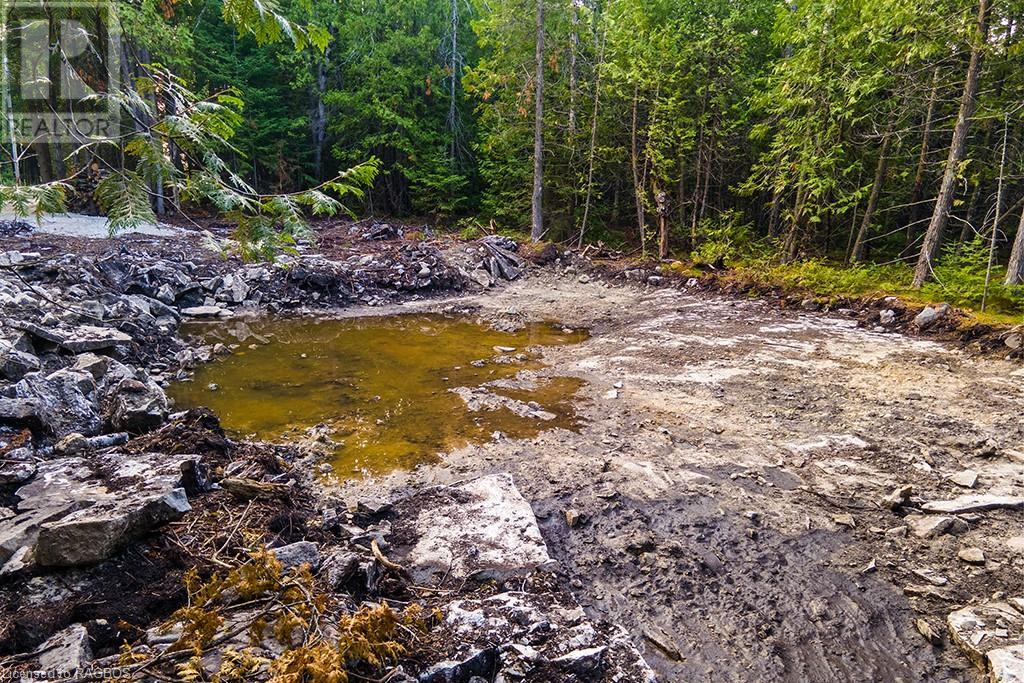 24 Nicholas Street, Tobermory, Ontario  N0H 2R0 - Photo 18 - 40626117