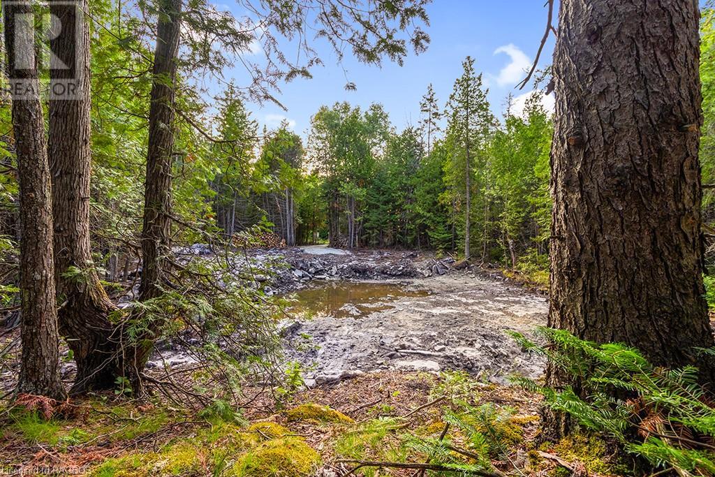 24 Nicholas Street, Tobermory, Ontario  N0H 2R0 - Photo 19 - 40626117