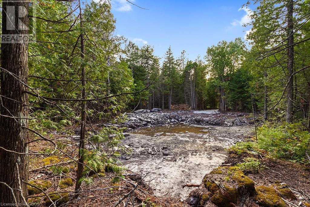 24 Nicholas Street, Tobermory, Ontario  N0H 2R0 - Photo 20 - 40626117