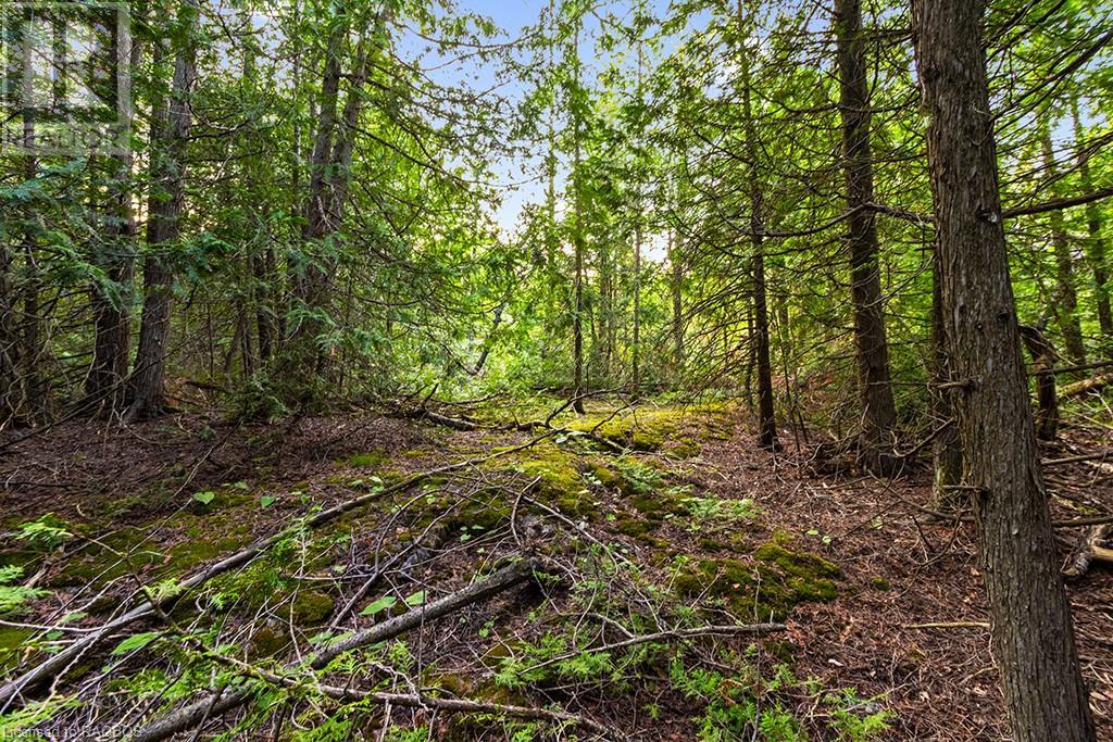 24 Nicholas Street, Tobermory, Ontario  N0H 2R0 - Photo 22 - 40626117