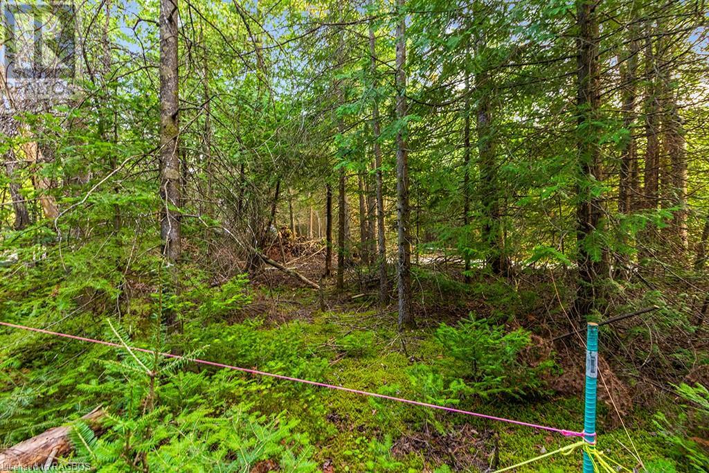 24 Nicholas Street, Tobermory, Ontario  N0H 2R0 - Photo 24 - 40626117