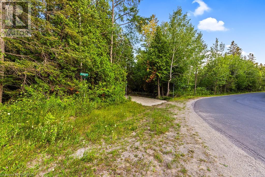 24 Nicholas Street, Tobermory, Ontario  N0H 2R0 - Photo 5 - 40626117