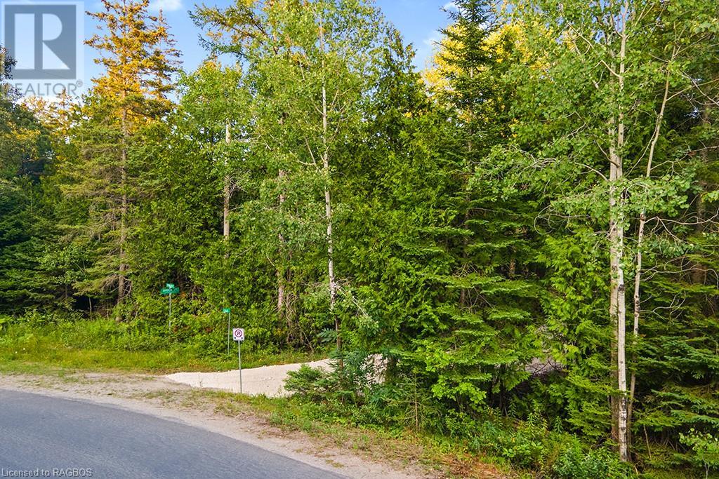 24 Nicholas Street, Tobermory, Ontario  N0H 2R0 - Photo 7 - 40626117