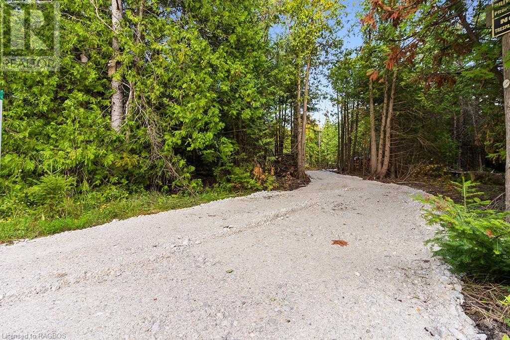 24 Nicholas Street, Tobermory, Ontario  N0H 2R0 - Photo 9 - 40626117