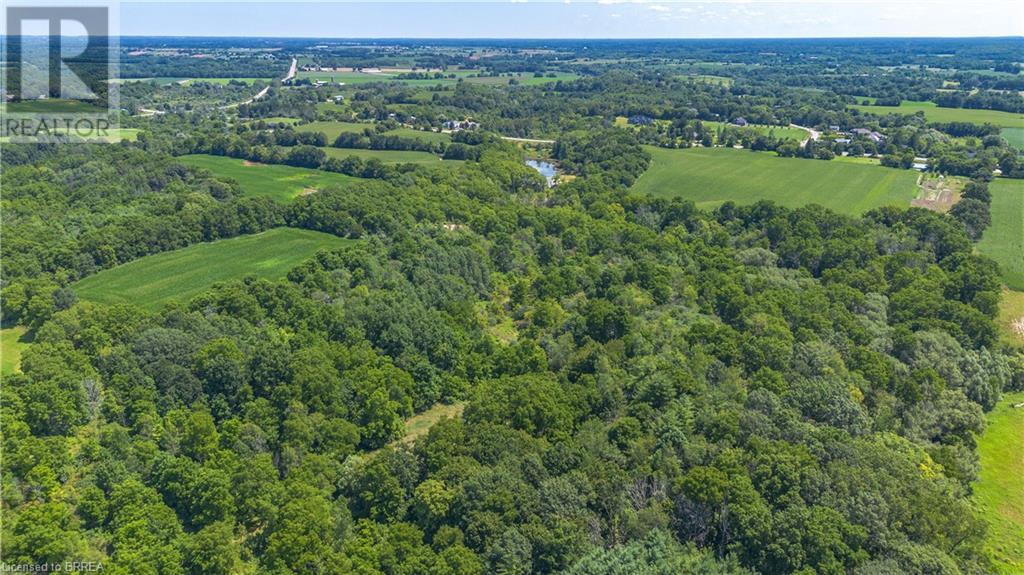 149 Cockshutt Road W, Brantford, Ontario  N3T 5L6 - Photo 10 - 40618066