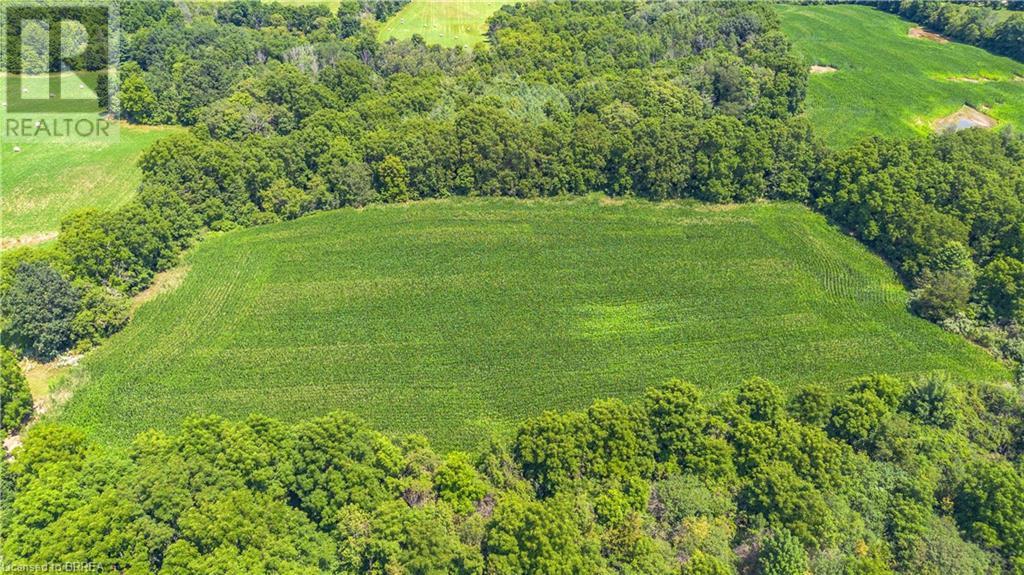 149 Cockshutt Road W, Brantford, Ontario  N3T 5L6 - Photo 11 - 40618066