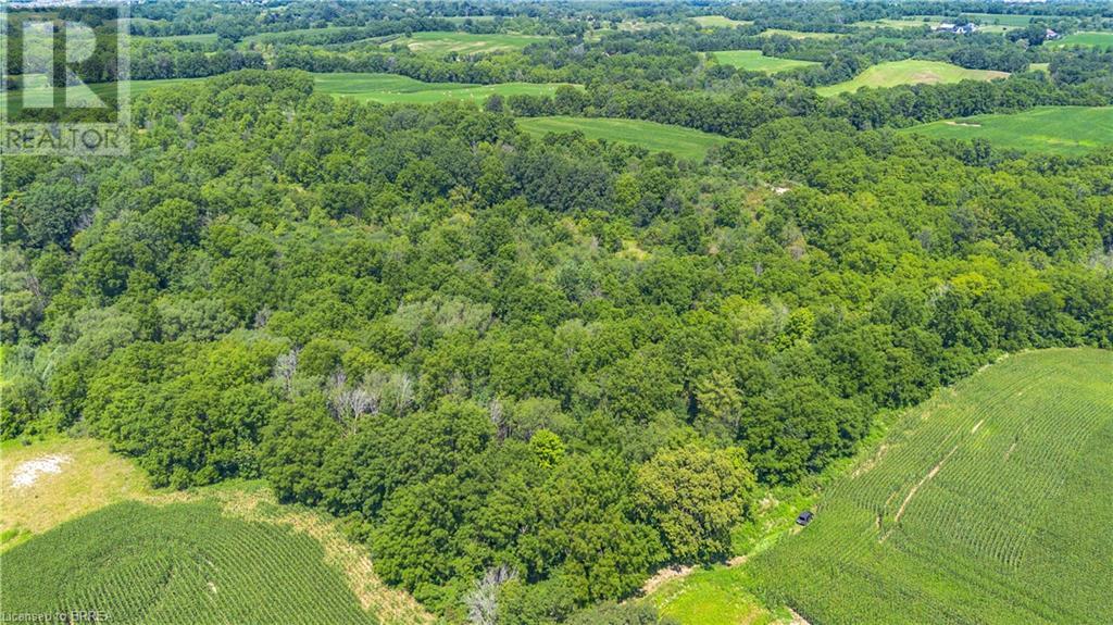 149 Cockshutt Road W, Brantford, Ontario  N3T 5L6 - Photo 15 - 40618066