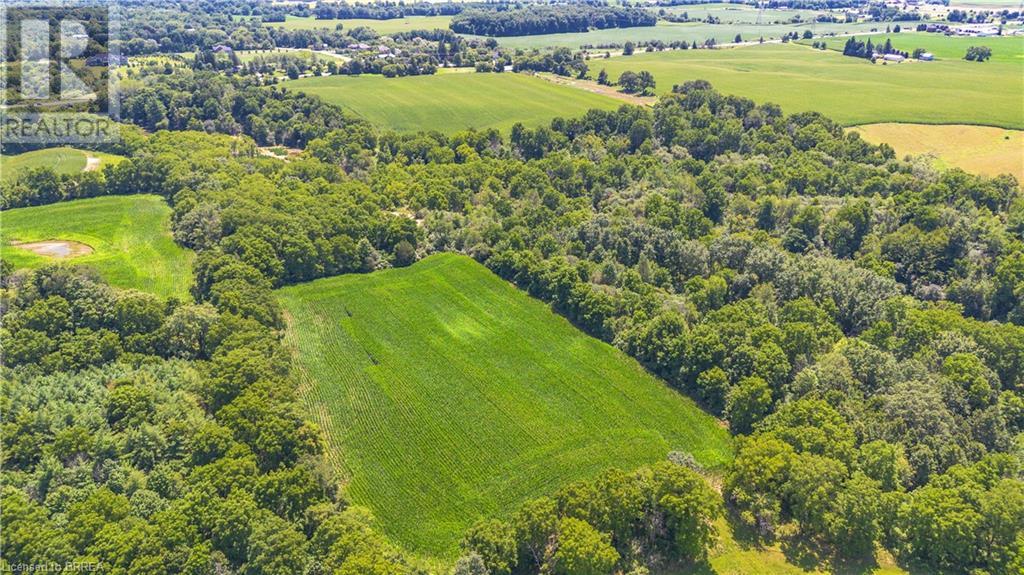 149 Cockshutt Road W, Brantford, Ontario  N3T 5L6 - Photo 8 - 40618066