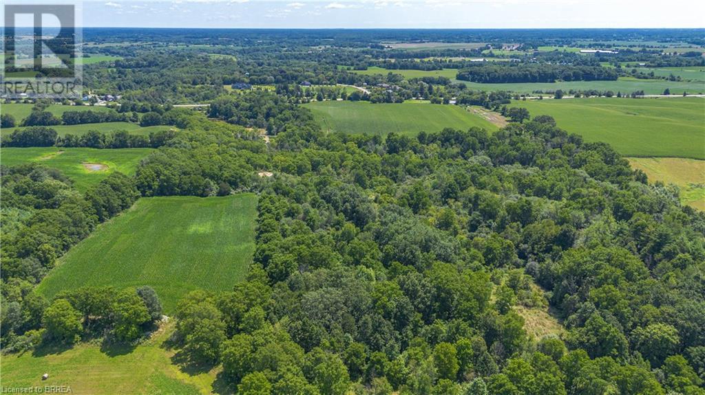 149 Cockshutt Road W, Brantford, Ontario  N3T 5L6 - Photo 9 - 40618066