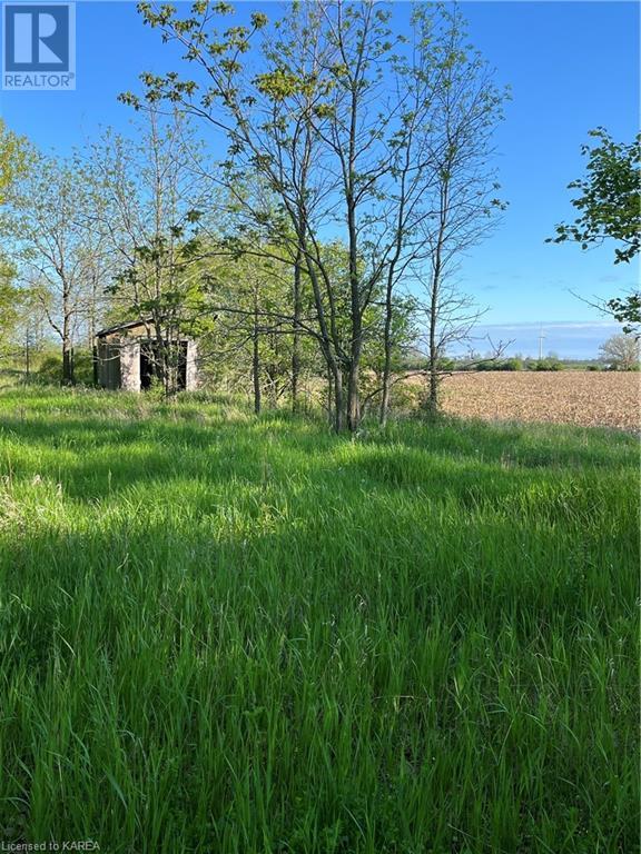 Pt Lt 5 Reeds Bay Road, Wolfe Island, Ontario  K0H 2Y0 - Photo 2 - 40626404