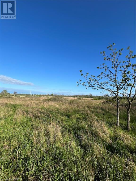 Pt Lt 5 Reeds Bay Road, Wolfe Island, Ontario  K0H 2Y0 - Photo 3 - 40626404