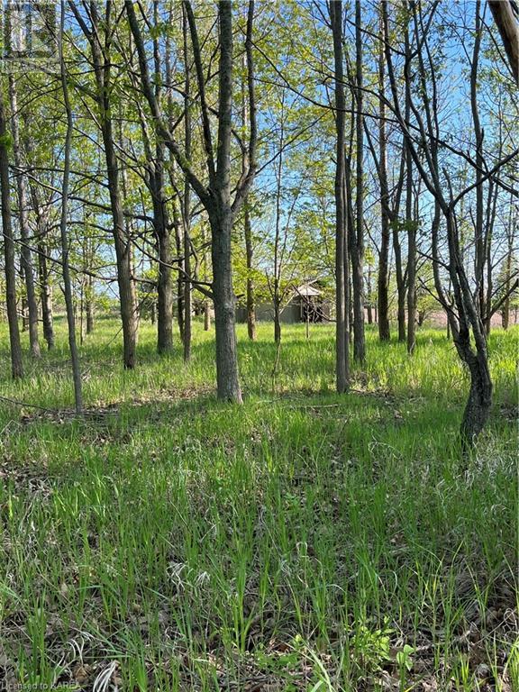 Pt Lt 5 Reeds Bay Road, Wolfe Island, Ontario  K0H 2Y0 - Photo 4 - 40626404