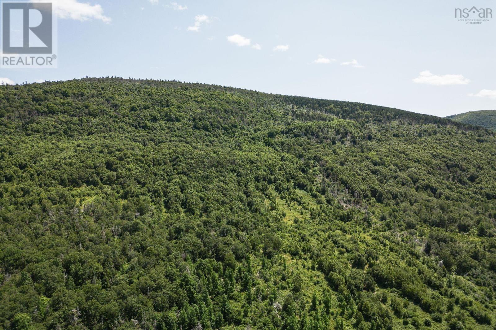 Cabot Trail, Point Cross, Nova Scotia  B0E 1H0 - Photo 25 - 202418161