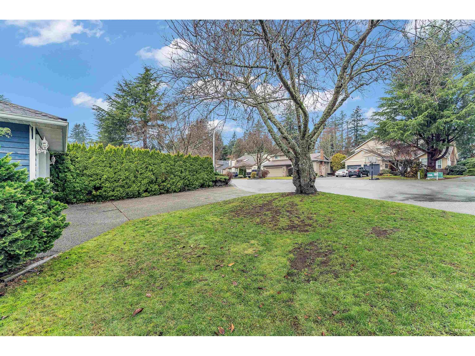 13508 15a Avenue, Surrey, British Columbia  V4A 5P1 - Photo 26 - R2910324
