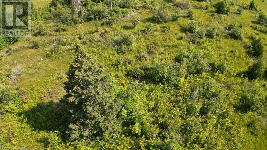 Lot 36 Bartley Drive, Miller Lake, Ontario  N0H 1Z0 - Photo 19 - 40626091